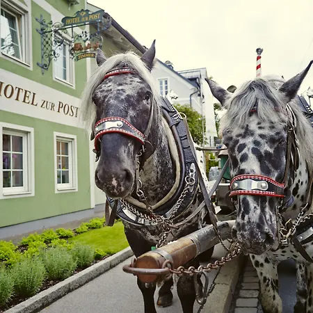 酒店 珀斯特绿色酒店 - 100％比奥