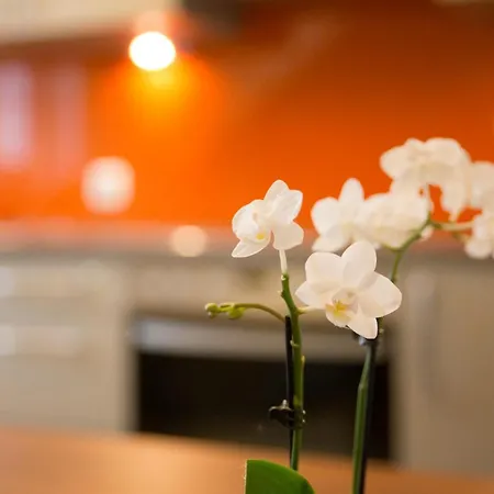 Gruene Zur Post - 100 % Bio Hotel Salzburg